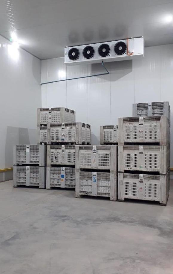 Equipo instalado - Imagen referencial